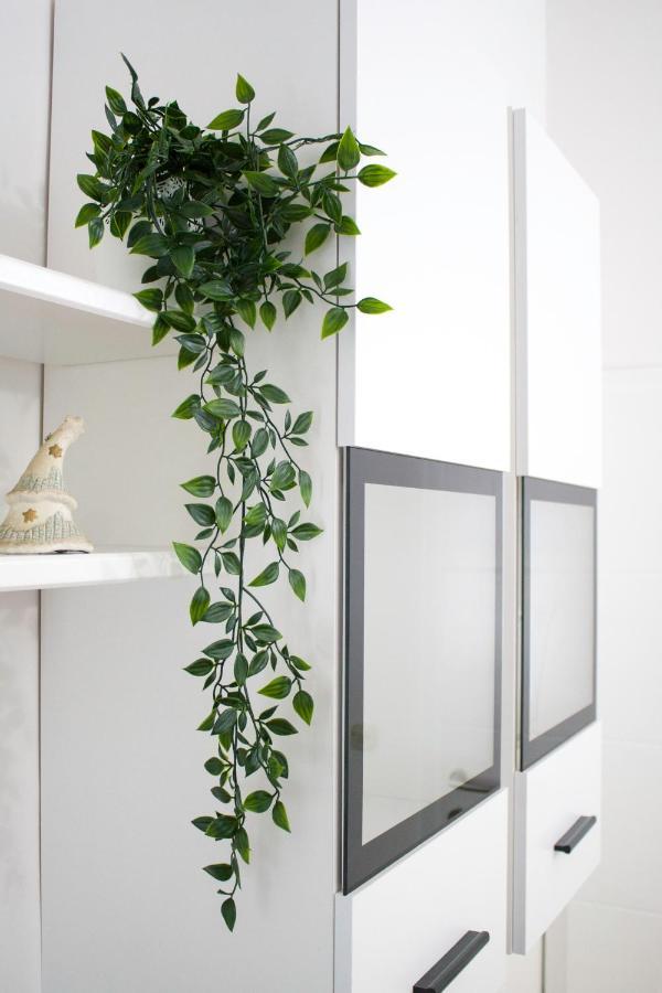 White Orchid Apartman
